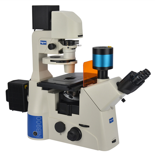 倒置荧光显微镜 NIB910-FL