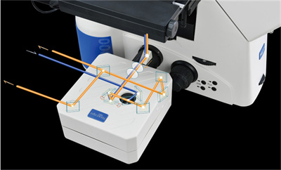 激光共聚焦显微镜和荧光显微镜的区别——广州明慧