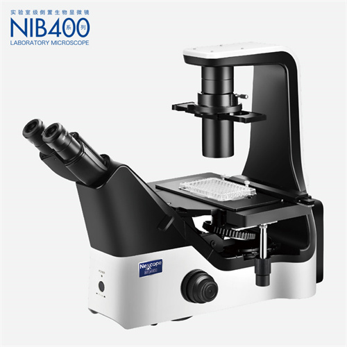 倒置生物显微镜NIB400