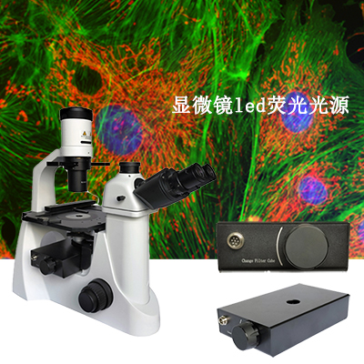 荧光显微镜有哪些激发光源