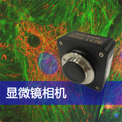 成像出色，高限度还原色彩真实性——广州明慧显微镜相机