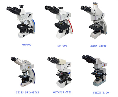 广东显微镜厂家，荧光模块设计升级显微镜荧光功能