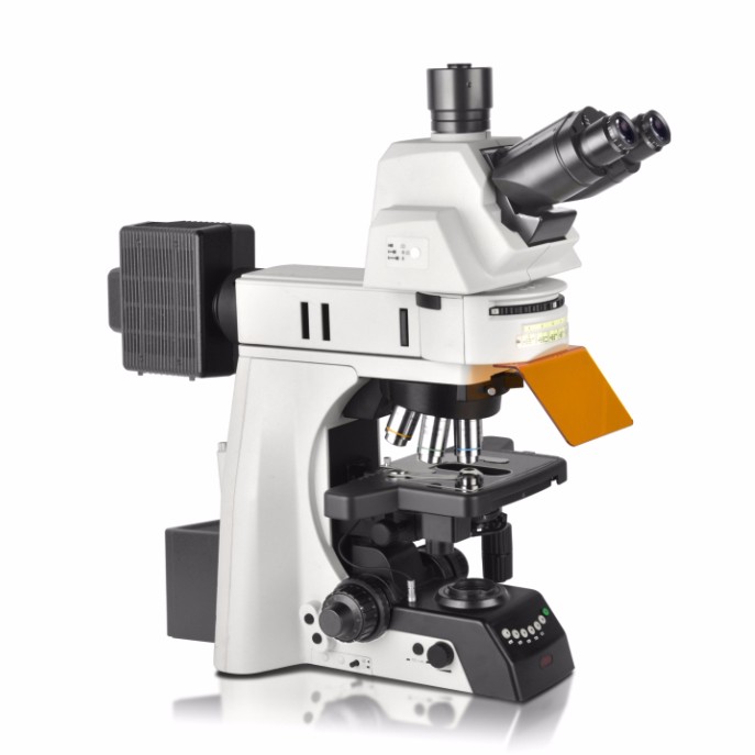科研级电动正置荧光显微镜NE930-FL