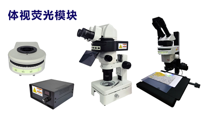 体视显微镜LED荧光模块