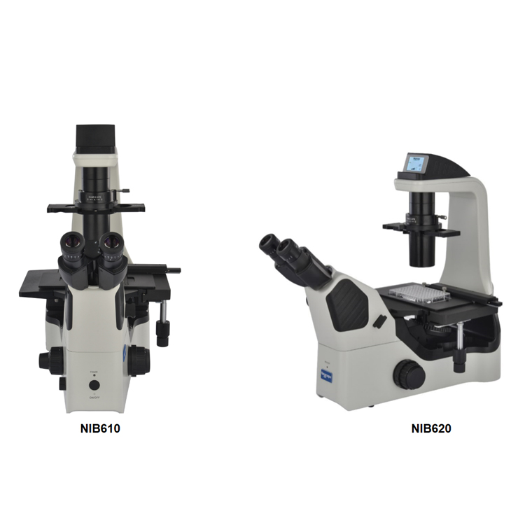 倒置荧光显微镜 NIB610-FL/NIB620-FL-广州明慧显微镜