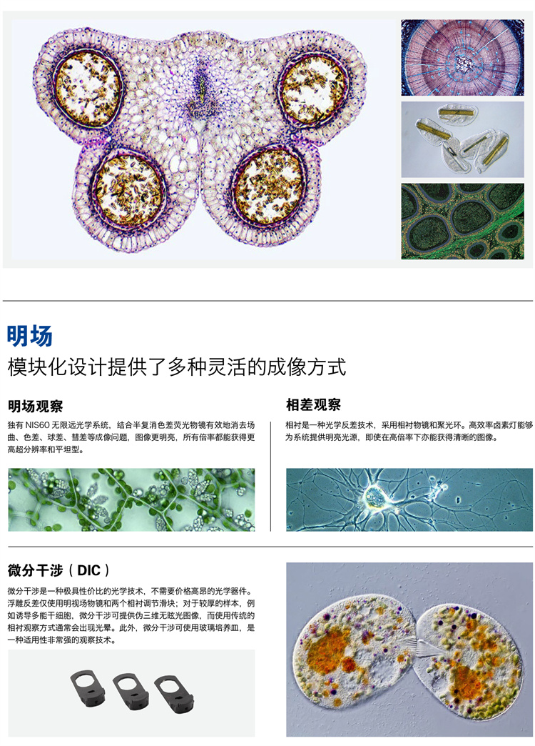 广州明慧耐可视倒置显微镜NIB910-广东显微镜