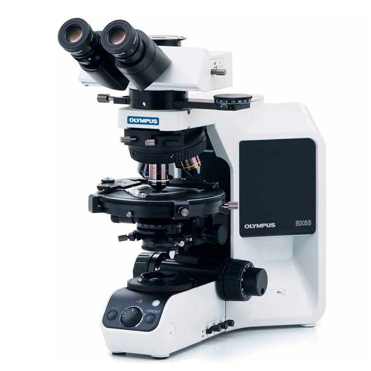 生物显微镜BX53