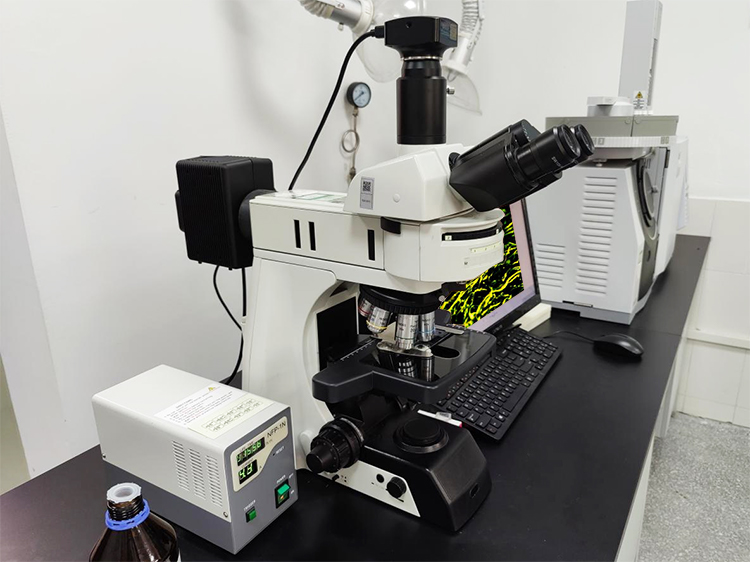 广州明慧NE910FL科研级荧光显微镜应用广东某公路监理科研机构沥青荧光检测
