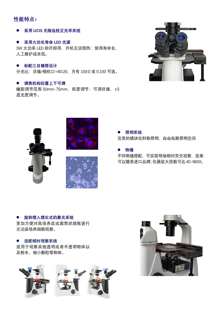 倒置熒光顯微鏡-供應(yīng)倒置熒光模塊廠家-倒置熒光顯微成像系統(tǒng)