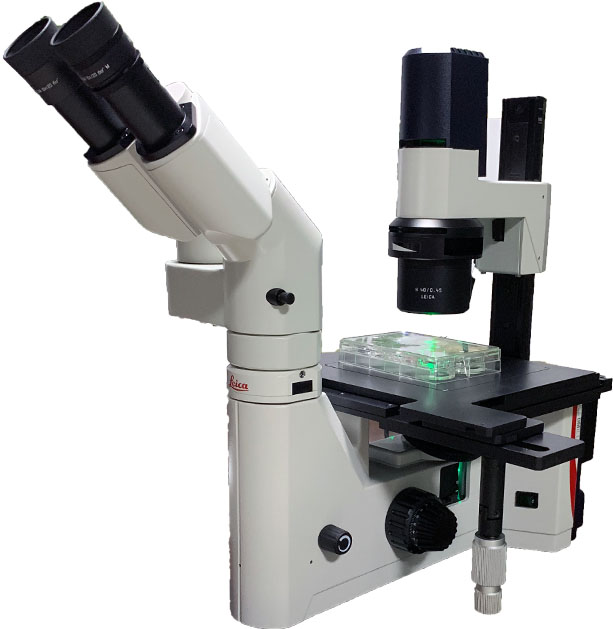尼康TS100倒置显微镜-倒置显微镜荧光升级附件