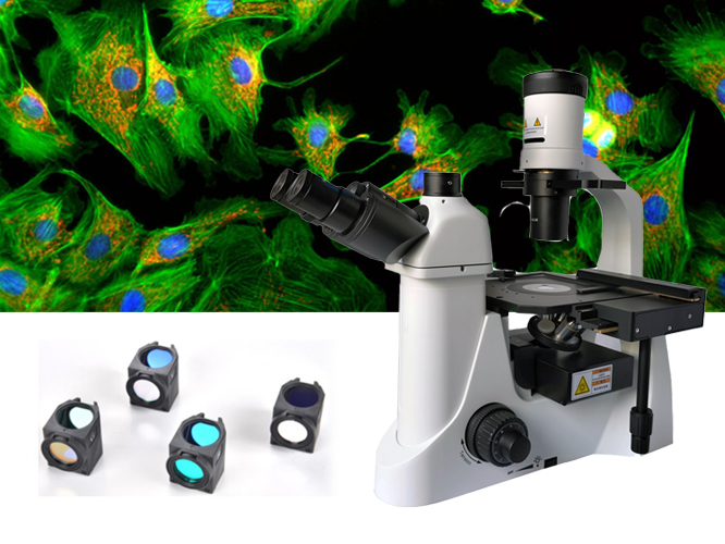 荧光显微镜的介绍——荧光显微镜的明暗场成像原理和滤色片选用