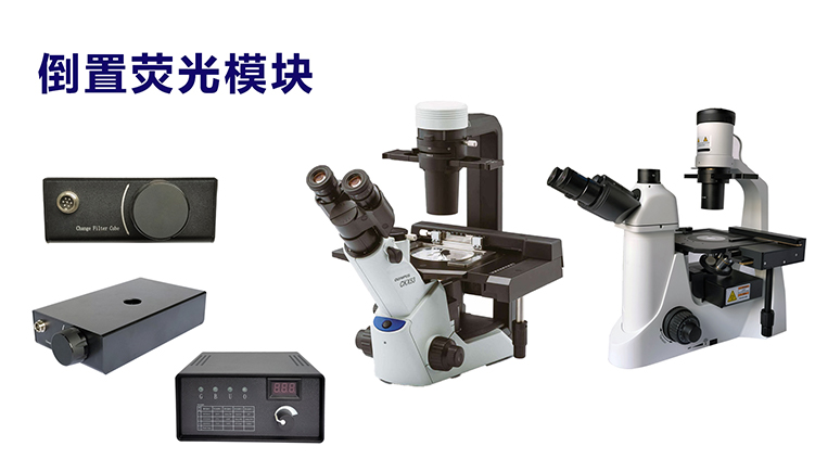 荧光显微镜 荧光光源的选择-倒置荧光模块