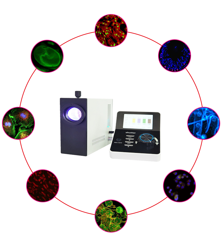 为什么有些荧光显微镜推荐使用大功率多光谱LED荧光光源？