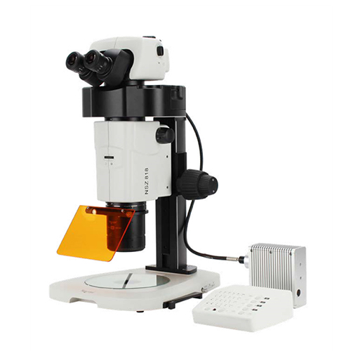 体视荧光显微镜 NSZ818
