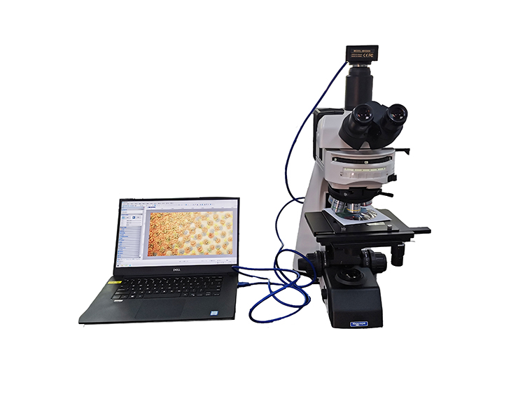供应光学数码显微镜 数码显微镜的应用案例