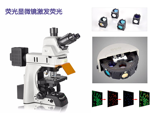 荧光显微镜光源 荧光显微镜激发荧光方式