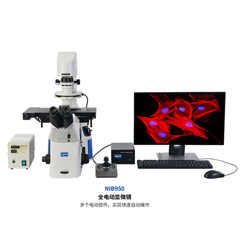 全电动显微镜 NIB950