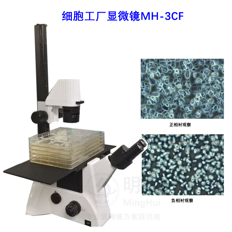 细胞工厂显微镜 应用领域—广州市明慧科技有限公司
