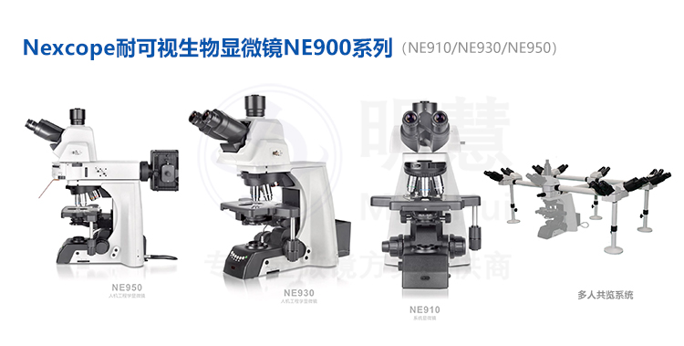 Nexcope耐可视正置生物显微镜成像系统用途