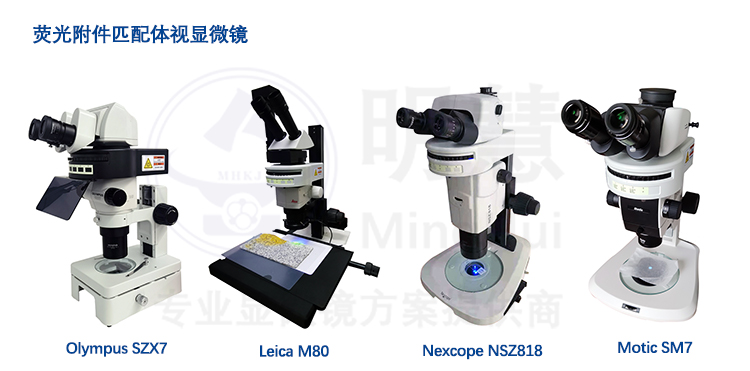 体视荧光附件的应用，普通体视显微镜升级为体视荧光显微镜