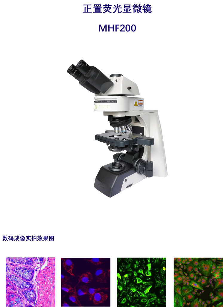 正置荧光显微镜MHF200-6孔荧光附件-广州明慧科技
