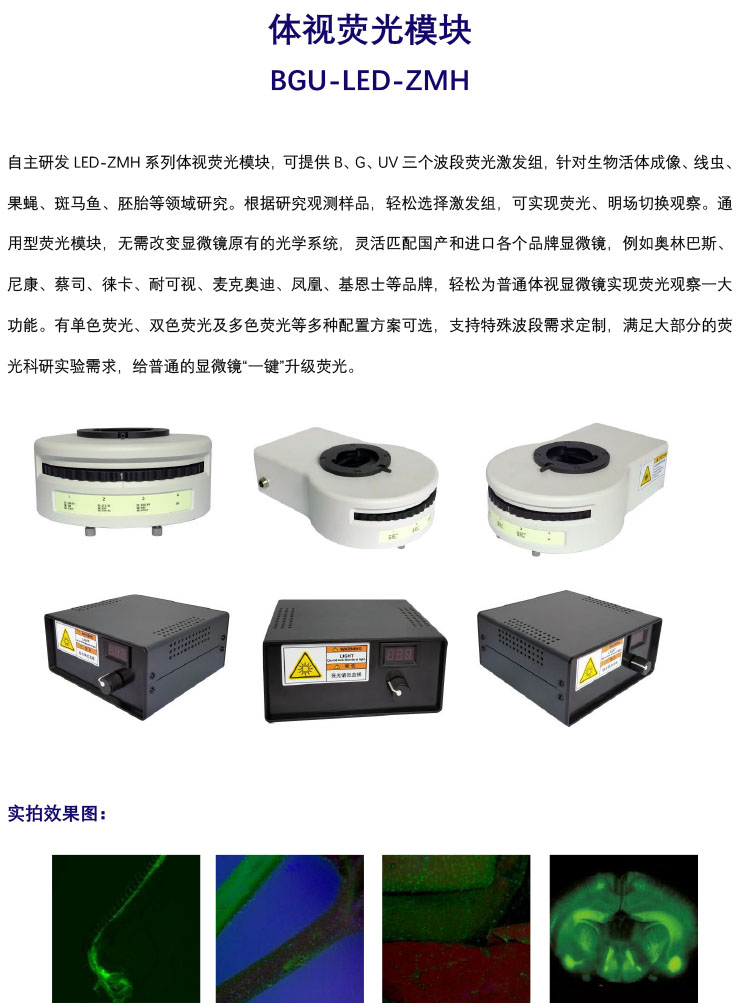 体视显微镜荧光模块BGU-LED-ZMH -荧光光源升级-广州明慧