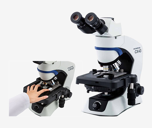 生物显微镜用于中药材粉末鉴定