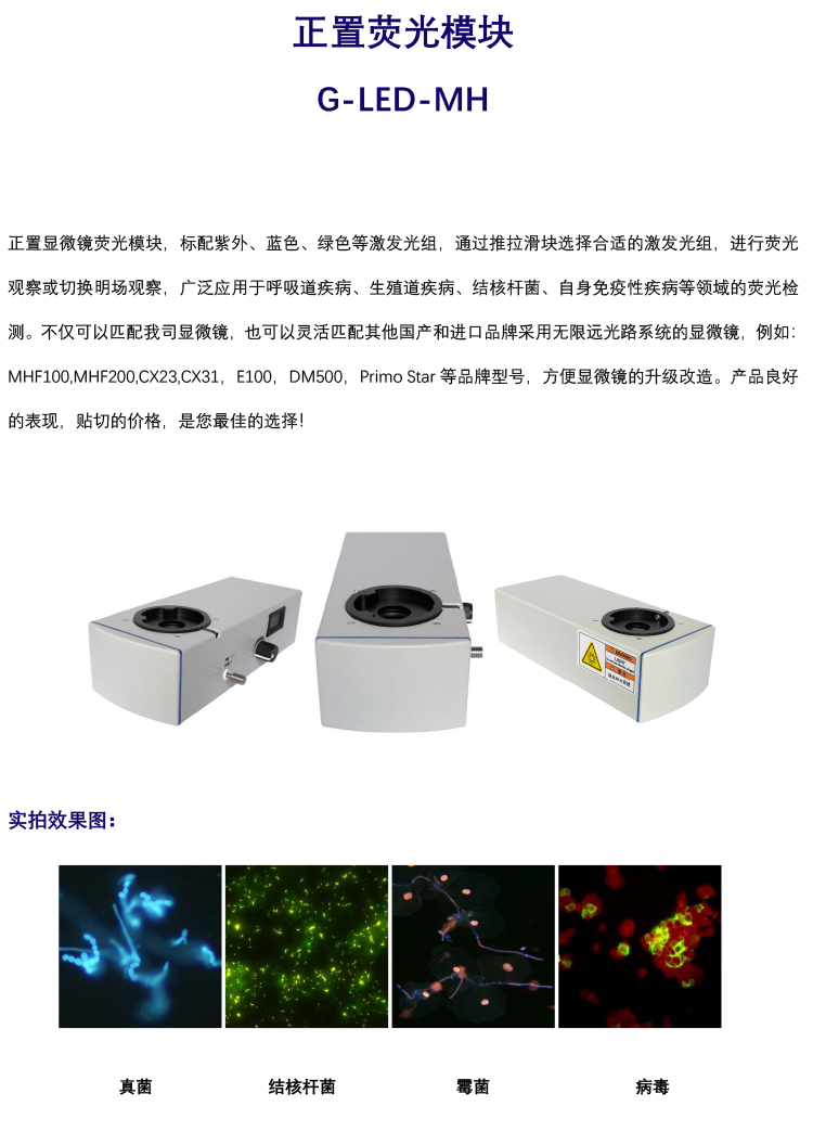 正置单色荧光模块-普通显微镜加装荧光模块-广州市明慧科技有限公司