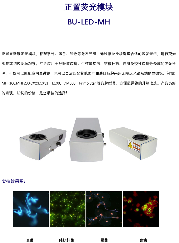 正置双色荧光模块BU-LED-MH-显微镜国产荧光模块-广州明慧