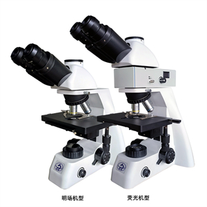 关于光学显微镜的基础知识及原理