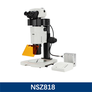 体视荧光显微镜NSZ818