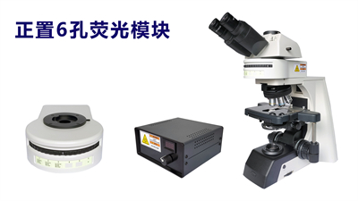 正置六孔荧光模块-广州市明慧科技有限公司
