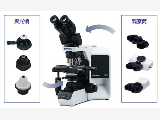 奥林巴斯显微镜BX43-广州市明慧科技有限公司