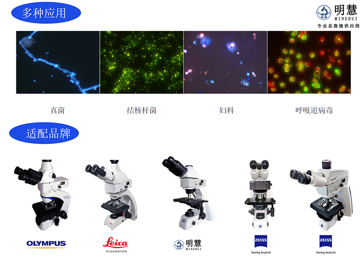 广州明慧实验室荧光模块——显微镜LED荧光附件