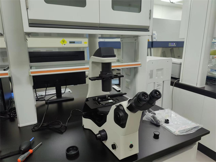 NIB610倒置显微镜应用于细胞培养观察