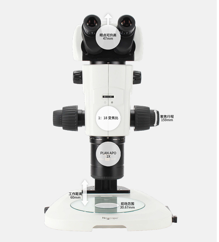 NSZ818科研级平行光体视荧光显微镜