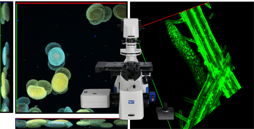 NCF950激光共聚焦显微镜主要应用方向