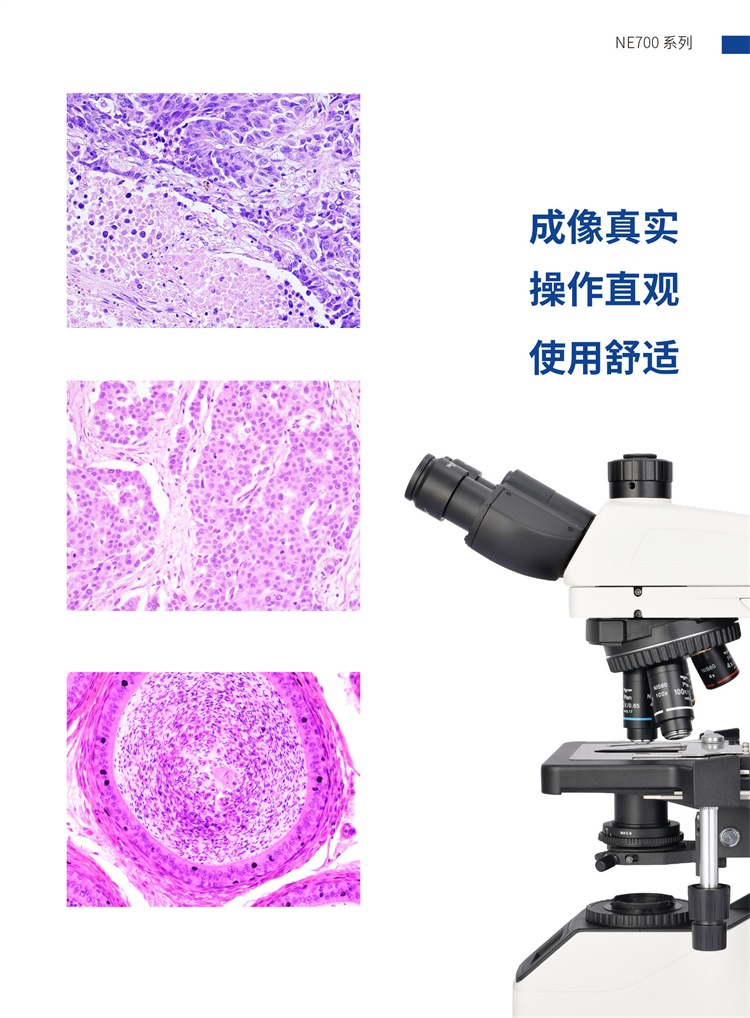 正置生物显微镜NE700 广州市明慧科技有限公司