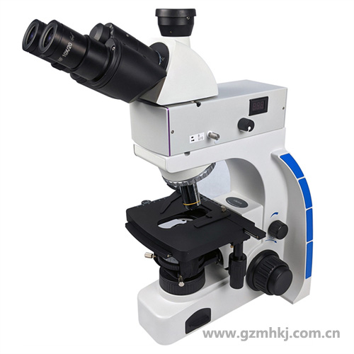 UB203i-FL荧光显微镜 广州明慧显微
