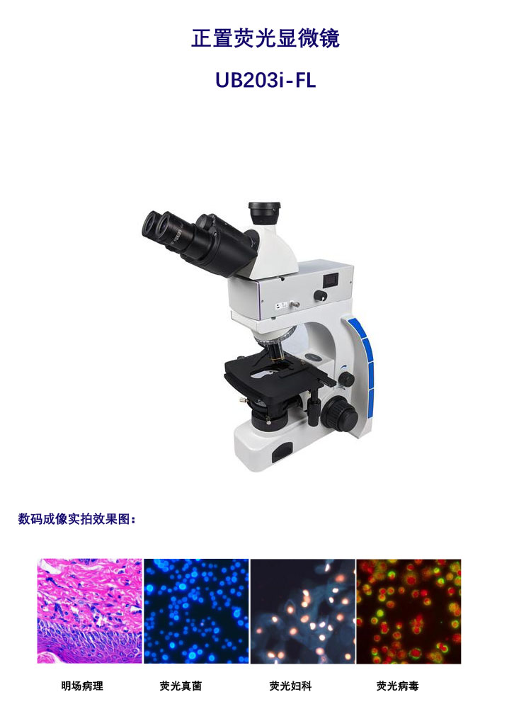 荧光显微镜UB203i-FL 珠海荧光显微镜解决方案 广州明慧科技