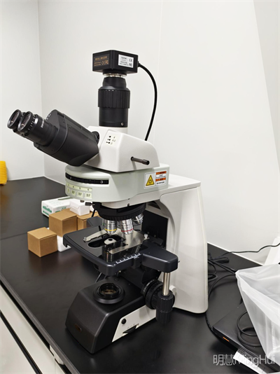 研究级正置荧光显微镜MHF200应用于广州某生物公司，助力医学研究