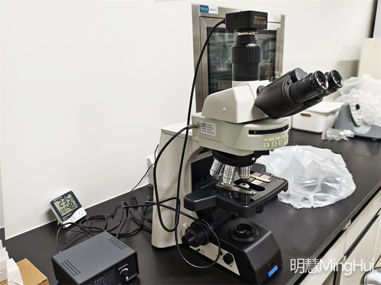 研究级正置荧光显微镜MHF200助力广州某生物公司医学研究