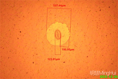 明慧金相显微镜MHML3230助力东莞某工厂进行薄膜污点检测