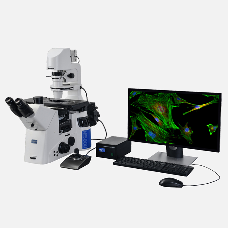 电动倒置荧光显微镜NIB950-FL+摄像头MHS900+电脑