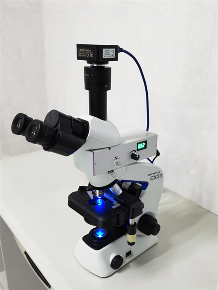广州明慧显微镜摄像头和荧光模块成像应用于奥林巴斯生物显微镜CX23