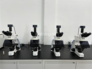 明慧MHF100正置荧光显微镜助力广州卫职院科研教学