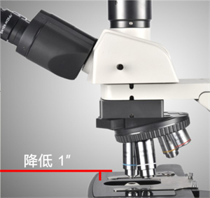 正置生物显微镜NE910-广州明慧