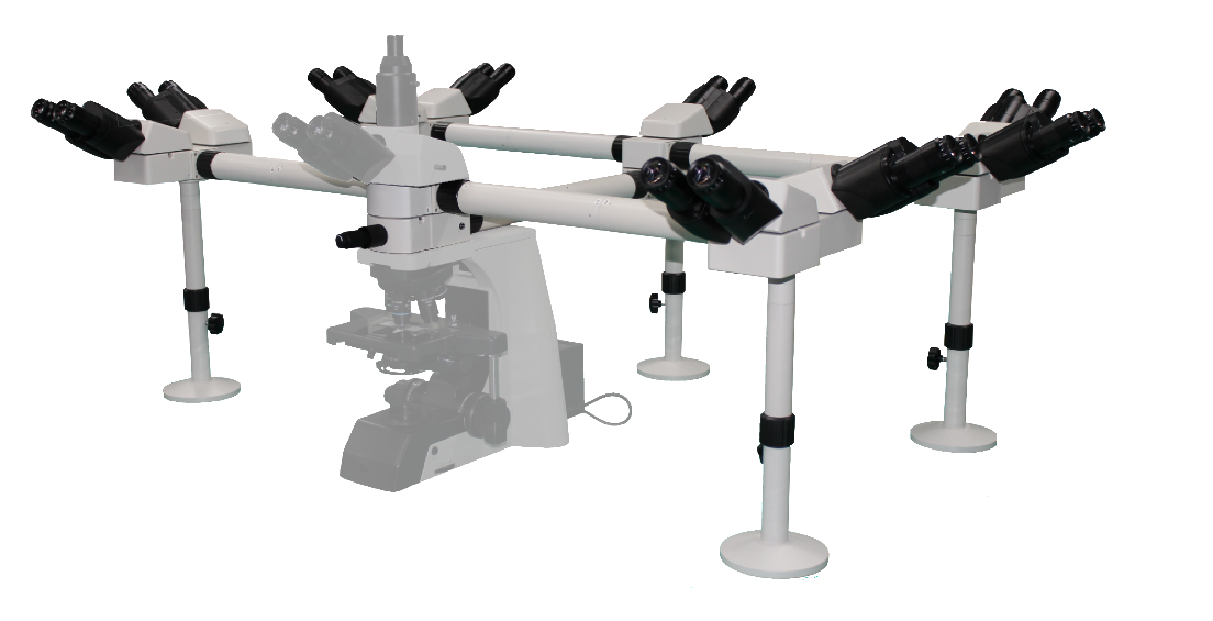 十人共览显微镜-多人共览系统-生物显微镜-广州市明慧科技有限公司