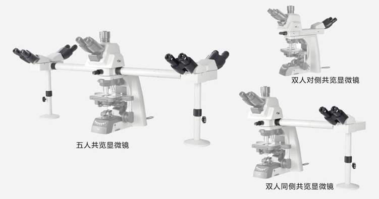 多人共览系统-生物显微镜-广州市明慧科技有限公司