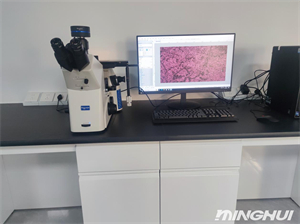 倒置金相显微镜NIM900和高清相机MHS900助力广东东莞某消防队